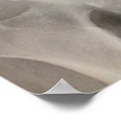 骨盤X線 ポスター (角)