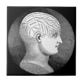 骨相学のヘッド図表 タイル (正面)