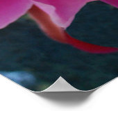 骨端 ポスター (角)