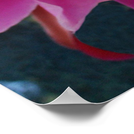 骨端 ポスター (角)