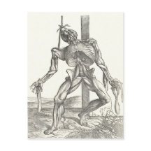 骨組み死体解剖メディカル