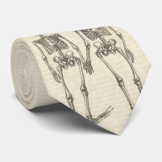 骨組タイ ネクタイ (ロール)