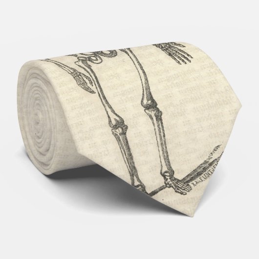 骨組タイ ネクタイ (ロール)