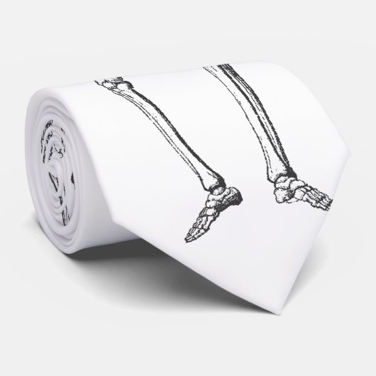 骨組タイ ネクタイ (ロール)