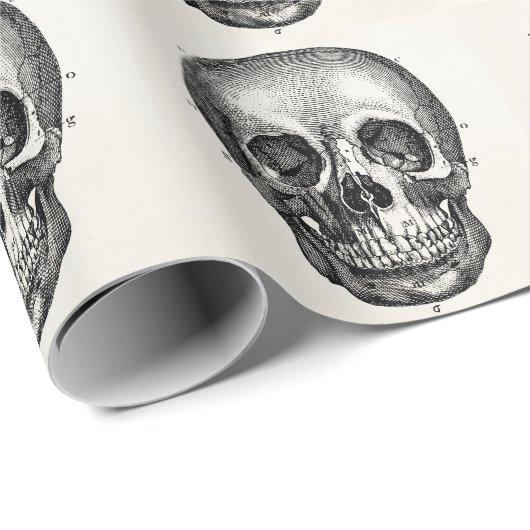 骨組ヴィンテージの19世紀のスカルのレトロのスカル ラッピングペーパー (ロールコーナー)