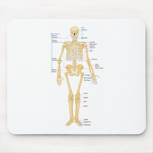骨組図表 マウスパッド (正面)