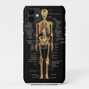 骨組電話カバー iPhone 11 ケース