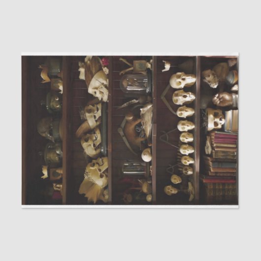 骨董品のスカル 薄葉紙 (正面)