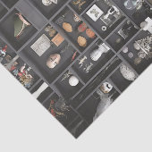 骨董棚のキャビネット 薄葉紙 (詳細)