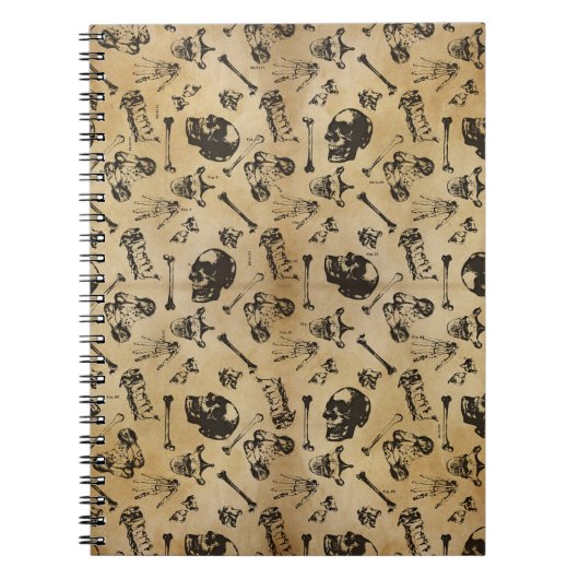 骨解剖学の考古学 ノートブック (正面)