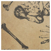 骨解剖考古学 ファブリック (見本)