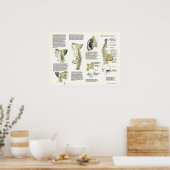 骨障害性交感神経鎖神経ポスター ポスター (キッチン)