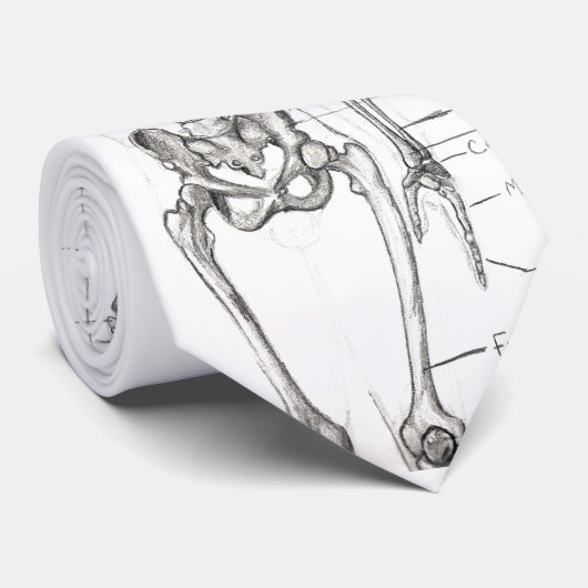 骨… ネクタイ (ロール)