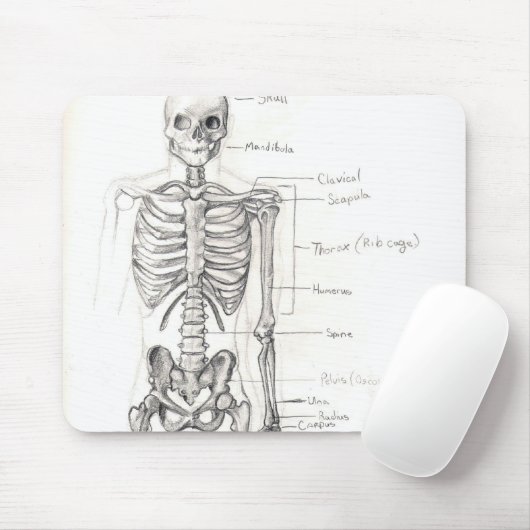 骨 マウスパッド (マウス)