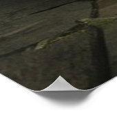 骸骨は絵を描まだ生きている ポスター (角)