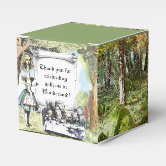 高いアリス1 フェイバーボックス (正面サイド)