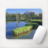 高いインタスの荒野，ただ，我々，懺悔者， マウスパッド (マウス)