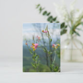 高いコリダリスワイルドフラワー垂直はがき ポストカード (スタンド正面)