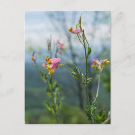 高いコリダリスワイルドフラワー垂直はがき ポストカード