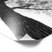 高いツリーフォトプリント フォトプリント            (角)