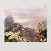 高い国のはがきに2つのラム ポストカード (正面)