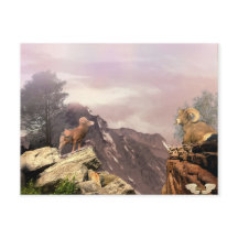 高い国のはがきに2つのラム