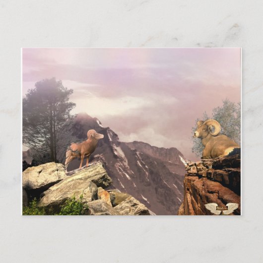 高い国のはがきに2つのラム ポストカード (正面)