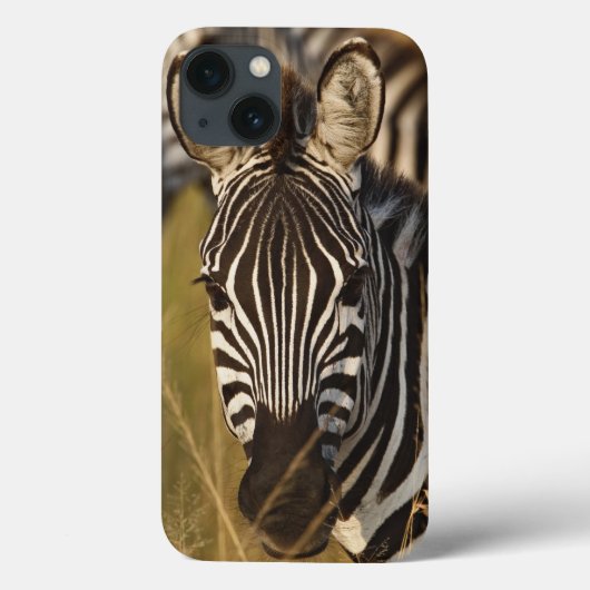 高い夏の草、マサイ語のBurchellのシマウマ Case-Mate iPhoneケース (裏面)