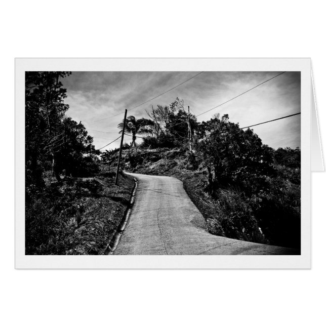 高い所に行く (正面横)