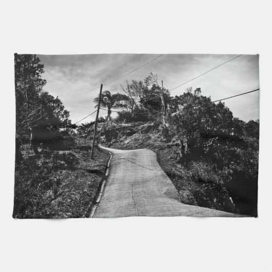 高い所に行く キッチンタオル (横)