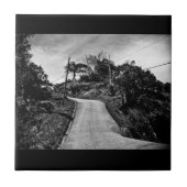 高い所に行く タイル (正面)