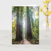 高い木 カード (黄色い花)