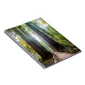 高い木 ノートブック (右側)