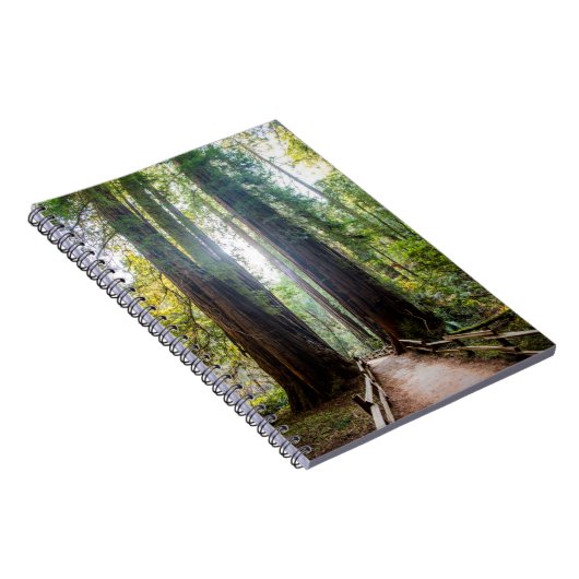 高い木 ノートブック (右側)