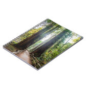 高い木 ノートブック (左側)