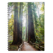 高い木 ノートブック (正面)