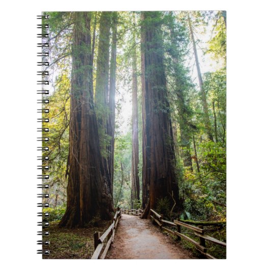 高い木 ノートブック (正面)