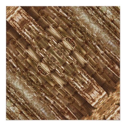 高い木 ポスター (正面)