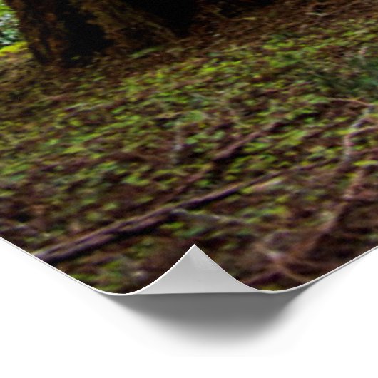 高い木 ポスター (角)