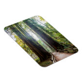 高い木 マグネット (右側)