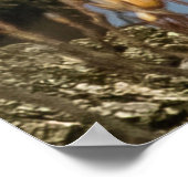 高い棚の上の禿げたワシ ポスター (角)