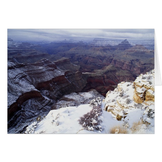 高い眺め (正面横)