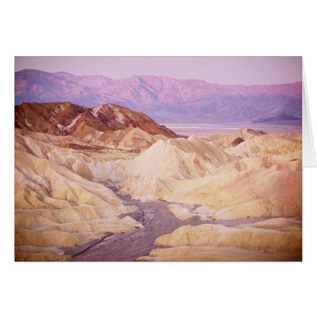 高い眺め2 (正面横)