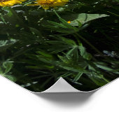 高い砂漠のスーパーブルーム ポスター (角)