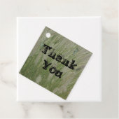 高い砂漠の草の植物の感謝 フェイバータグ (インサイチュ)