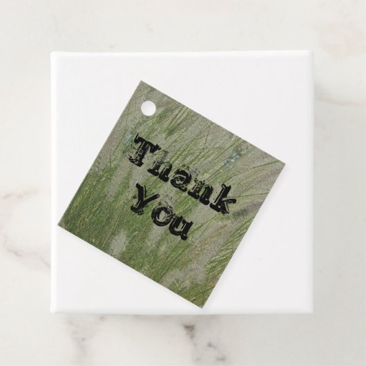 高い砂漠の草の植物の感謝 フェイバータグ (インサイチュ)