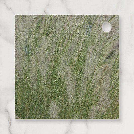 高い砂漠の草の植物の感謝 フェイバータグ (裏面)