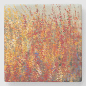 高い砂漠はII活気付きます ストーンコースター (正面)