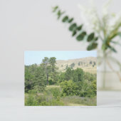 高い砂漠 ポストカード (スタンド正面)