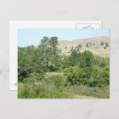 高い砂漠 ポストカード (正面/裏面)